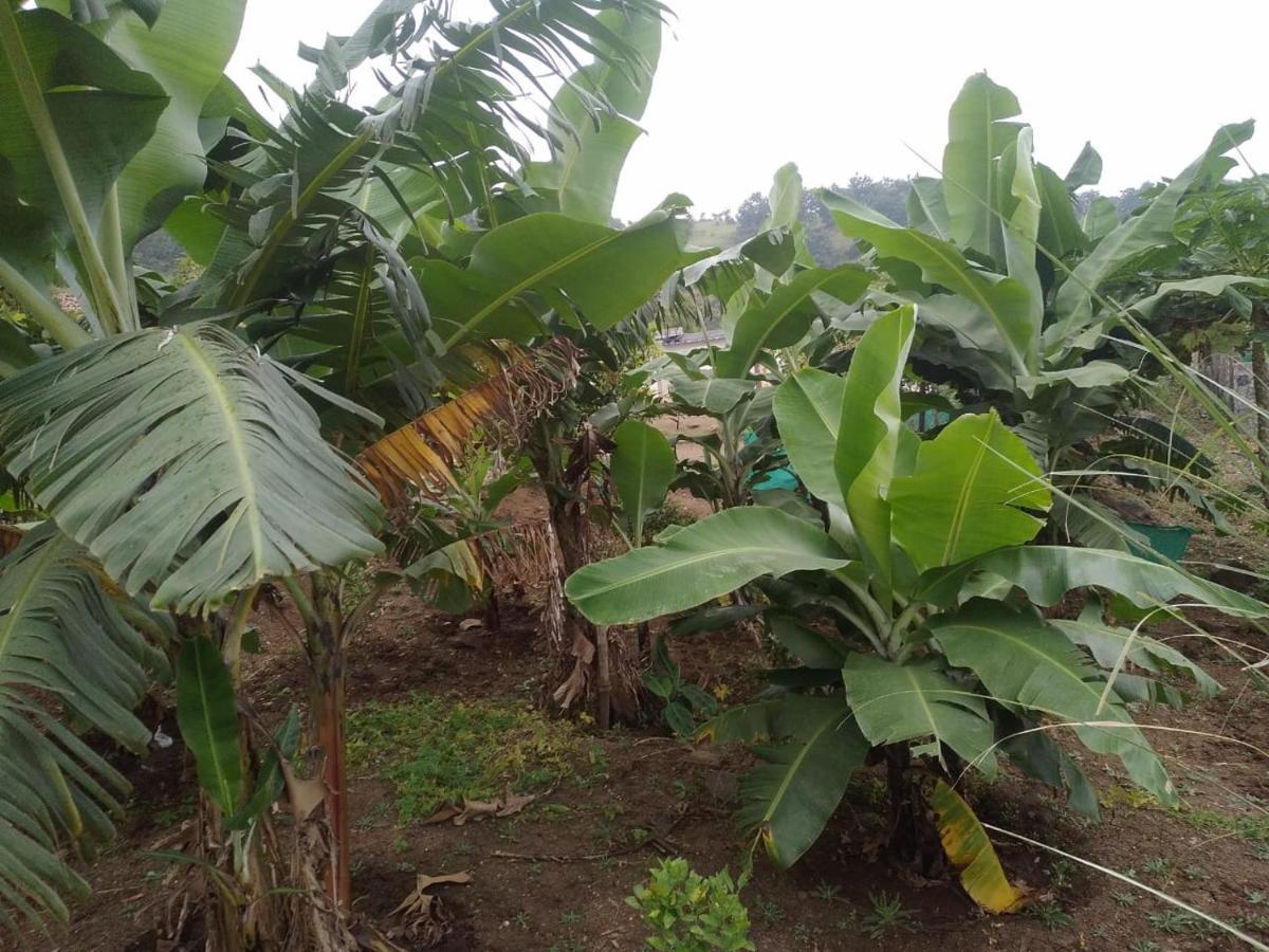 Jandyal Farm House Malshej Ghat Ngoại thất bức ảnh