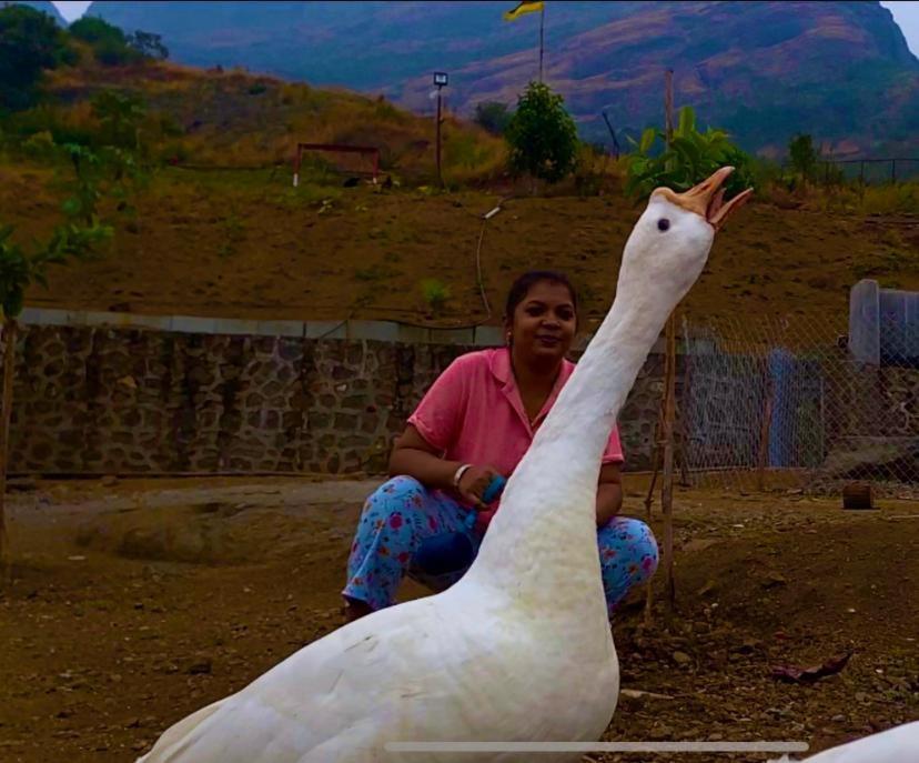 Jandyal Farm House Malshej Ghat Ngoại thất bức ảnh