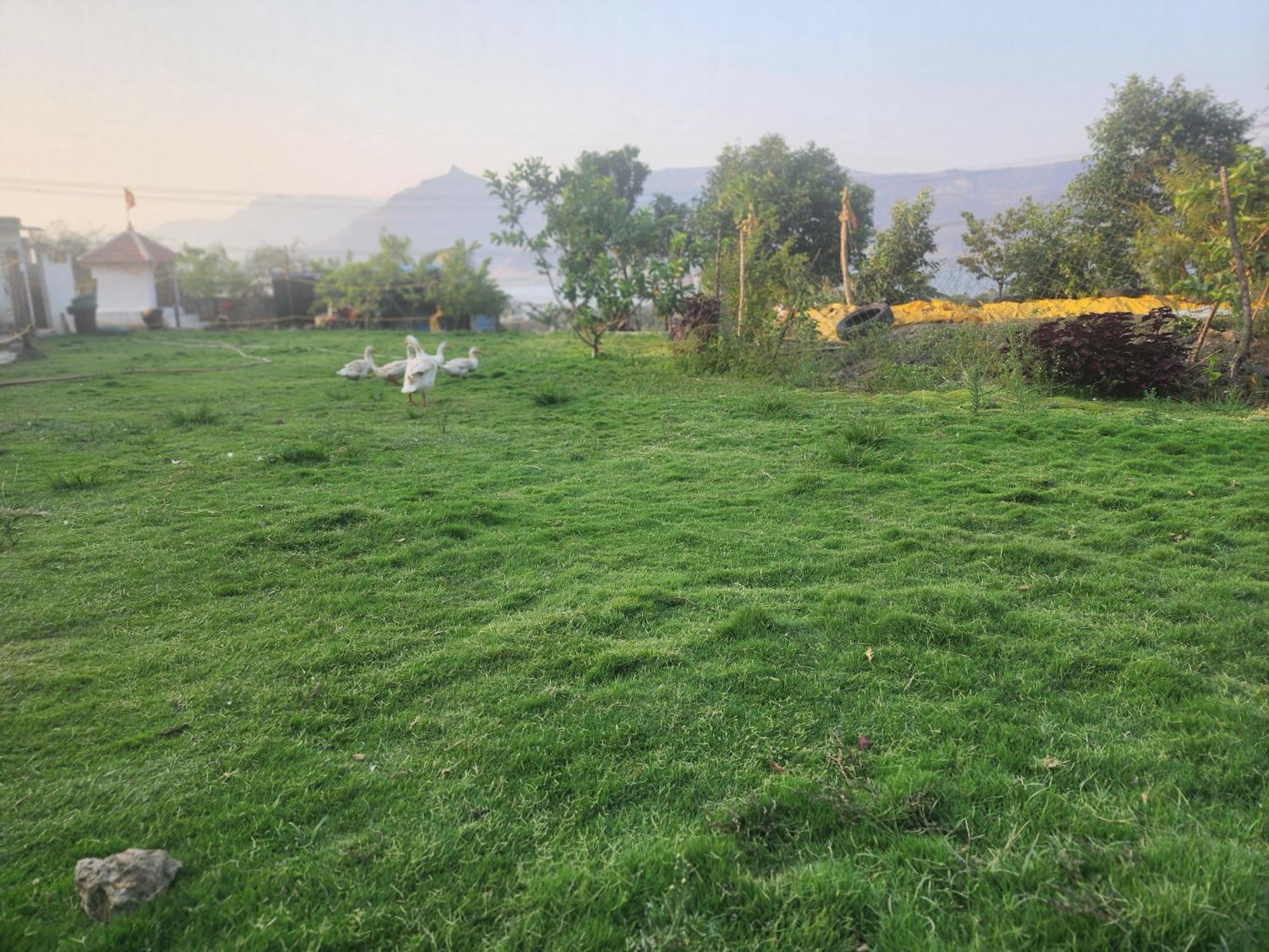 Jandyal Farm House Malshej Ghat Ngoại thất bức ảnh